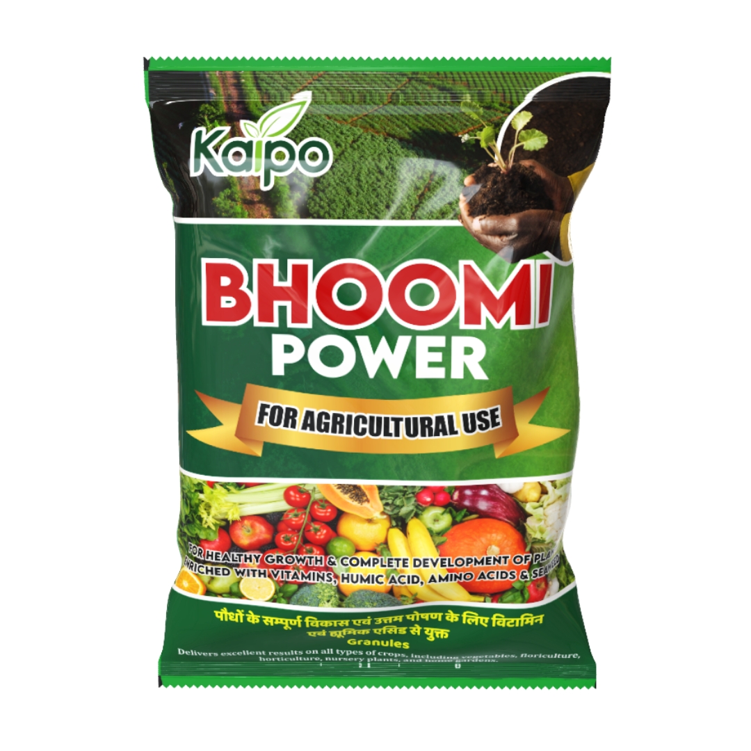 Bhoomi Power