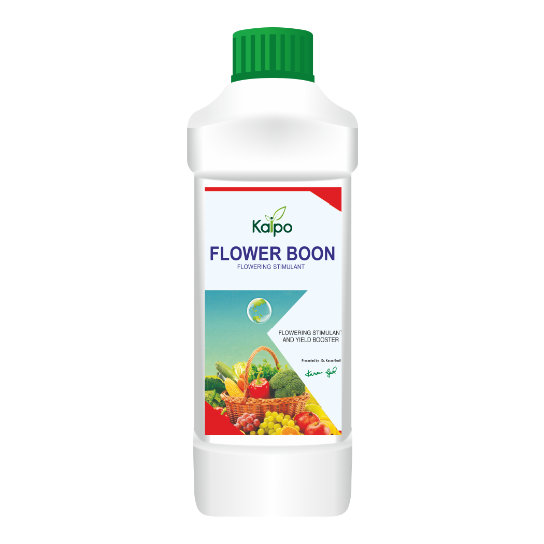 Flower Boon