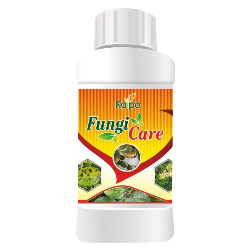 Fungi Care